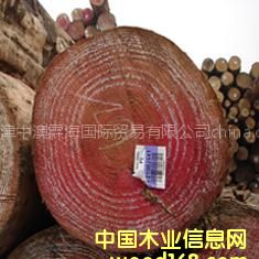 ���l(f��)�M�ڃ�(y��u)�|(zh��)��ݗ����ԭľ