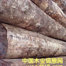 ���l(f��)��(y��u)�|(zh��)�M�ڴ�ֱ���o��(ji��)��ݗ����ԭľ