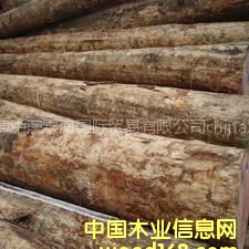 ���l(f��)��(y��u)�|(zh��)�M�ڟo��(ji��)��ݗ����ԭľ