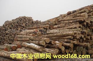 �����ֈ�ֱ�N�M�ڰ���ԭľ�����ɰ��b���������