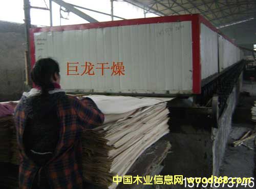 ľƤ��əC(j��)