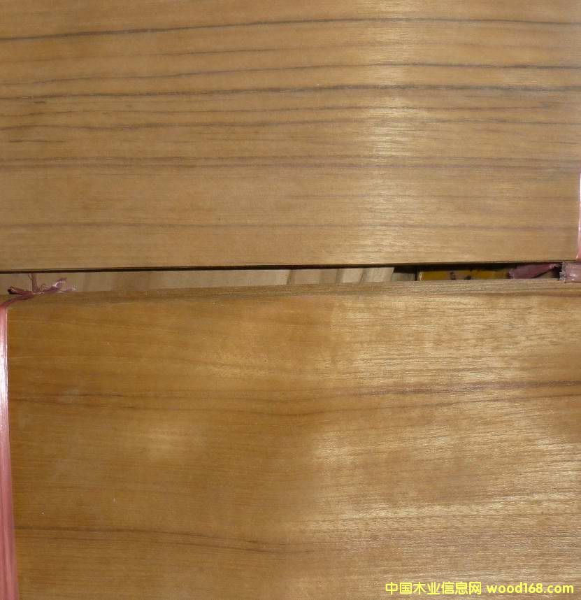 ̩�֟o������Ԕ����B