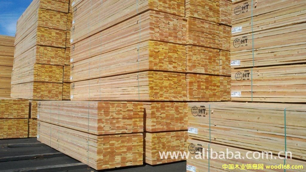 �M�ڰ�ĵ�Ԕ����B