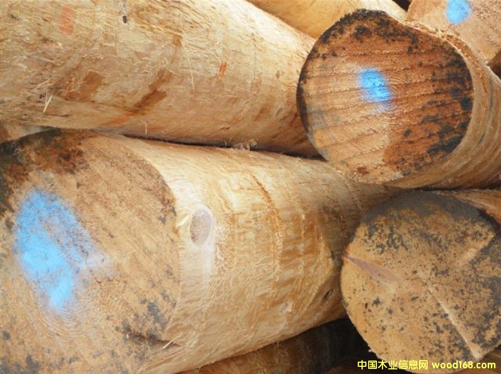 �Fɼԭľ��Ԕ����B