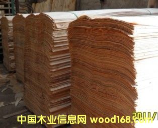 ݗ���Ɇΰ��Ԕ����B