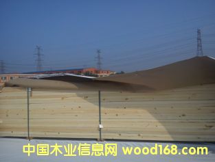 ���ô����ɼ��Ԕ��(x��)��B