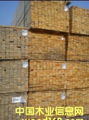 #4 SPF��Ԕ��(x��)��B