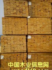 ���ô� ����Fɼ