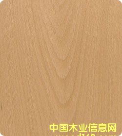 ��˨ɽ�y�ϙ��Ԕ��(x��)��B