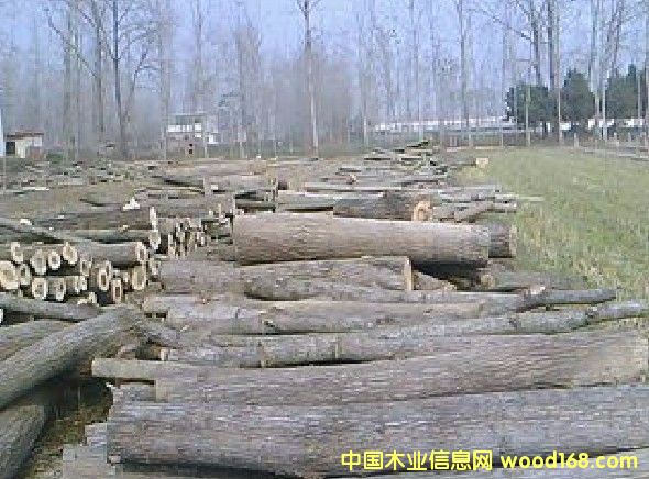 ��ľԭľ��Ԕ��(x��)��B