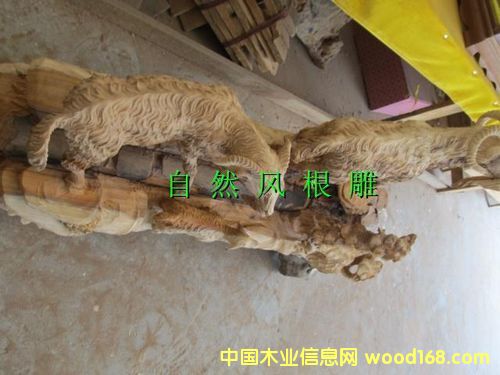 �t��ɼ���(y��ng)�_(k��i)̩