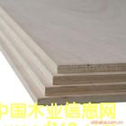 �c���鿴���Ӱ�15��Ŵ�DƬ