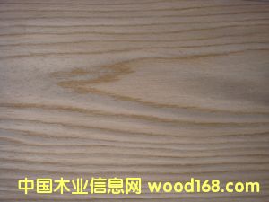 412559851.jpg��Ԕ����B