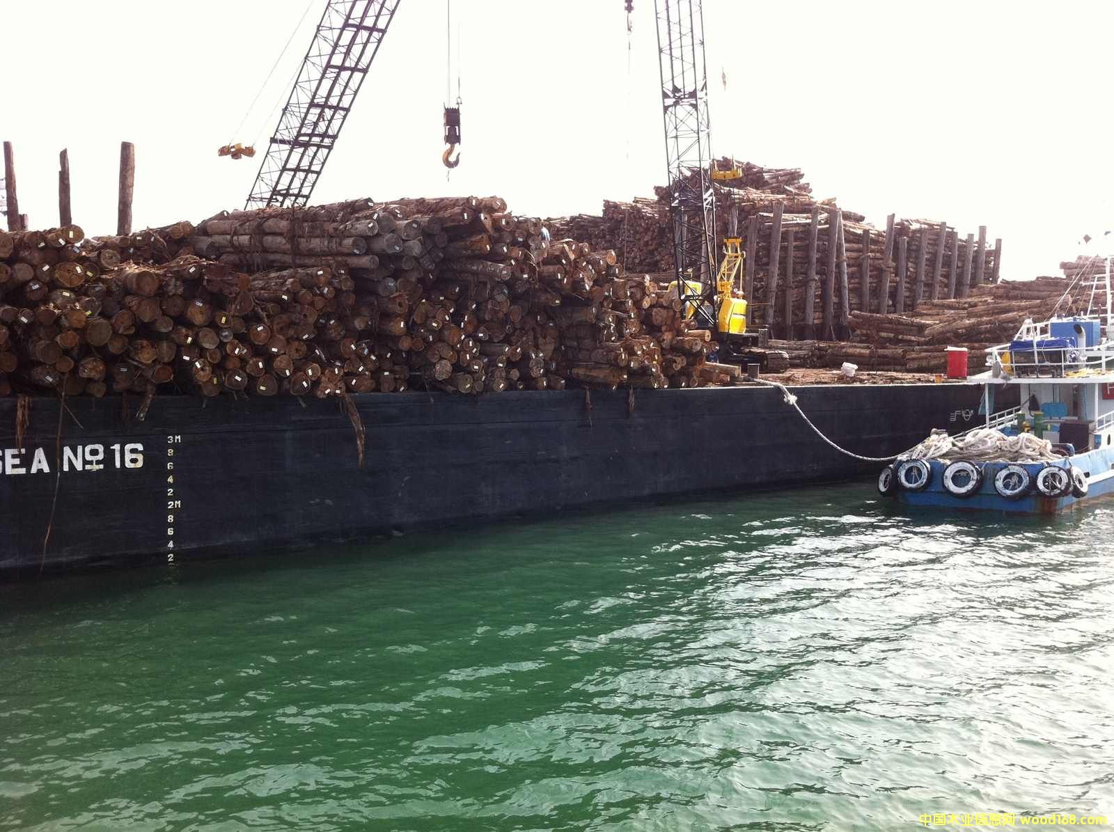 ��˼ԭ��ͩ��Ԕ��(x��)��B