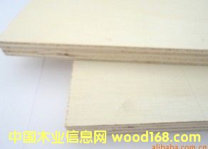 ȫ��ľľ��ĵ�Ԕ��(x��)��B