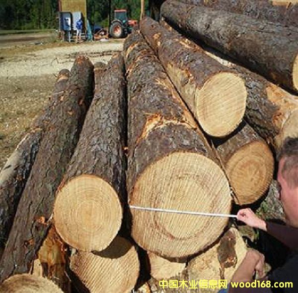 ����(gu��)�ϲ��S��