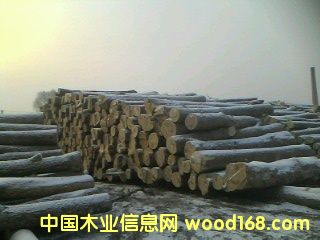 �؃�(y��u)��ľ��Ԕ����B