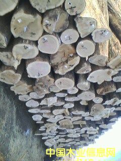 �؃�(y��u)��ľ��Ԕ����B