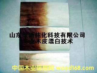 ������ľ��Ư�ׄ�