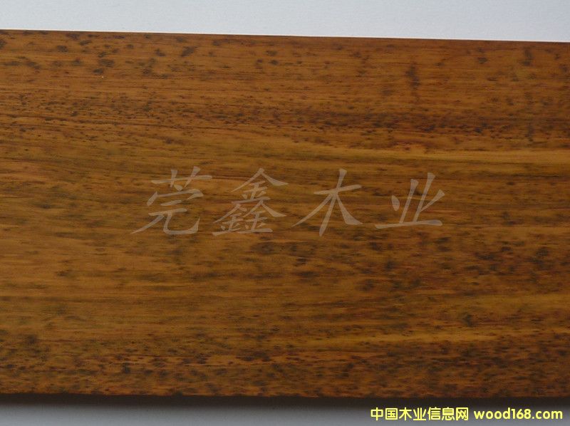 蛇桑木的詳細(xì)介紹