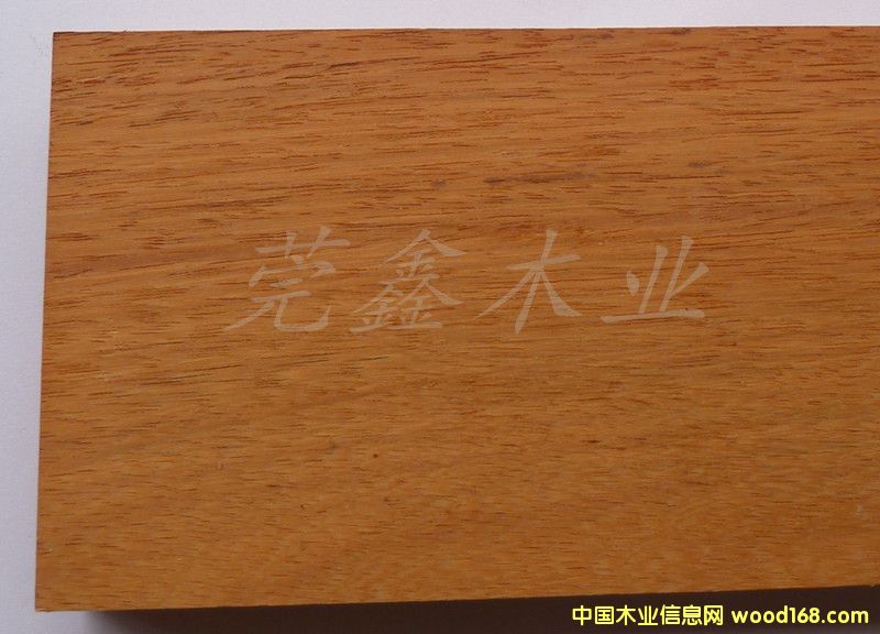 馬蹄豆的詳細(xì)介紹