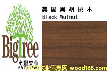 �����ں��ҵ�Ԕ��(x��)��B