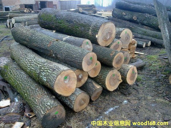 �����mˮ������Ԕ��(x��)��B