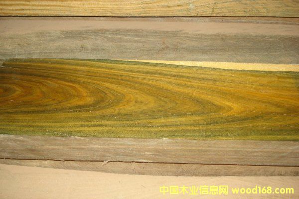 綠檀的詳細介紹