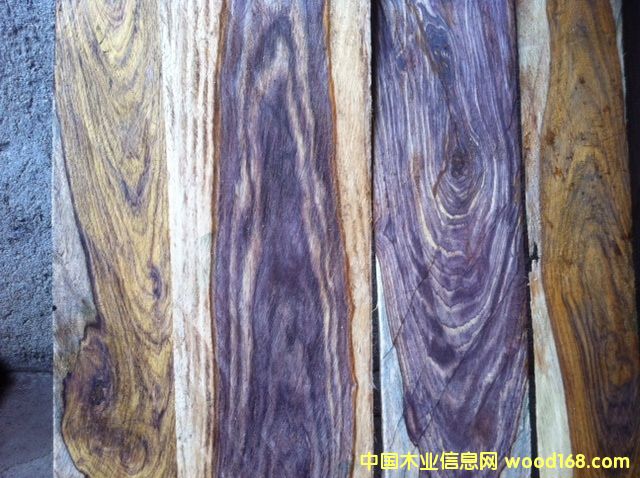 微凹黃檀的詳細介紹