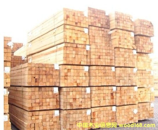 ����ľ��