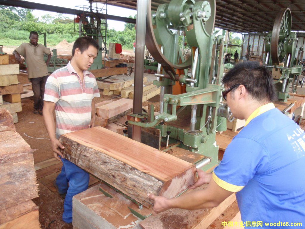 �A�P(p��n)����Ԕ��(x��)��B