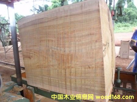 �A�P(p��n)����Ԕ��(x��)��B