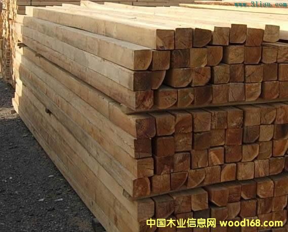 杉木枕的詳細(xì)介紹