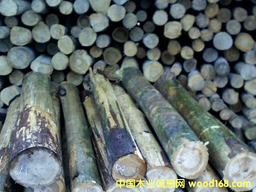 香杉圓木的詳細(xì)介紹