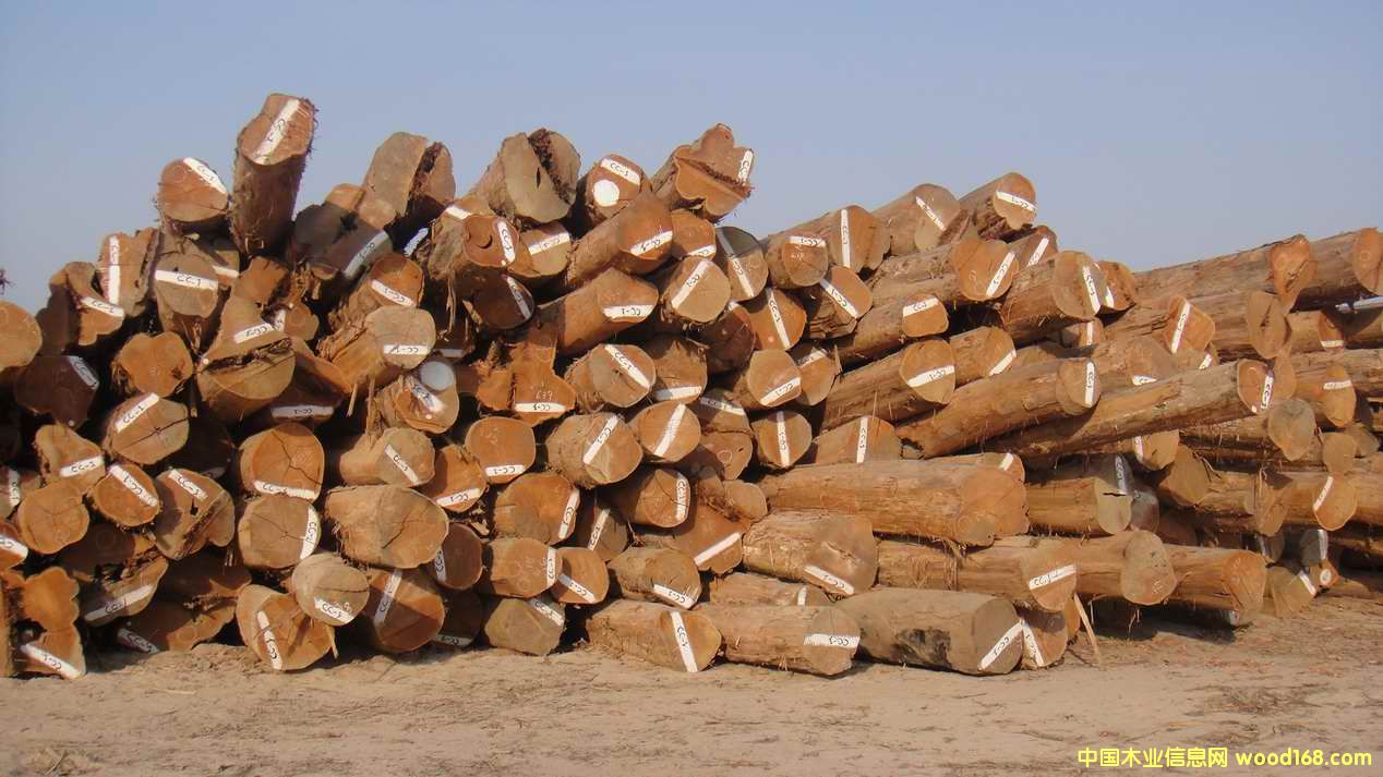 �����ϵ���ľԭľ����ľԭľ��Ԕ��(x��)��B