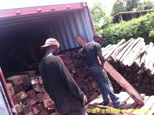 ����С�~��̴