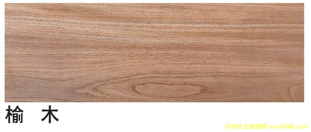 ��ľ��Ԕ����B