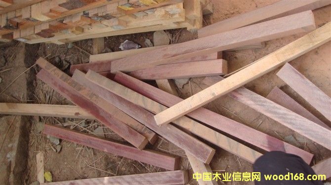 �sľ�ٹ�ĵ�Ԕ��(x��)��B