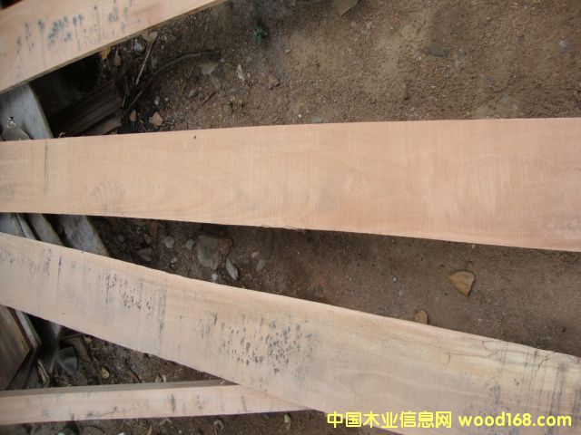 ��(y��u)�|(zh��)�L�l�ٹ�ĵ�Ԕ��(x��)��B