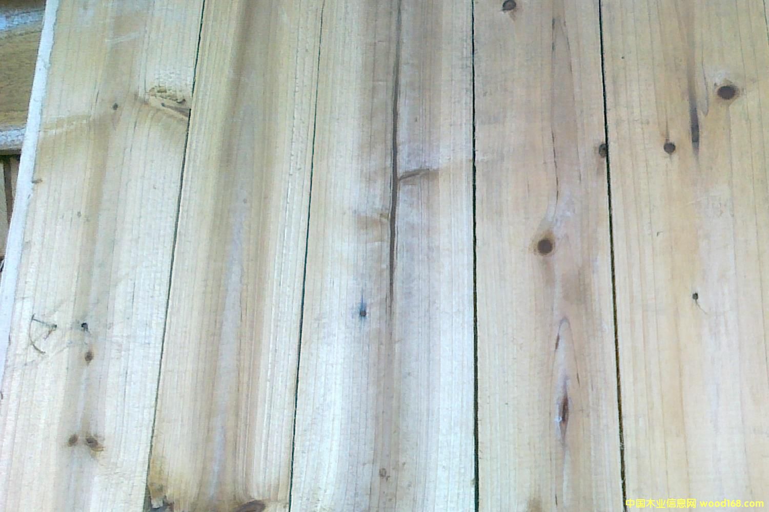 [��] ɼľ�������F�����壬���S����