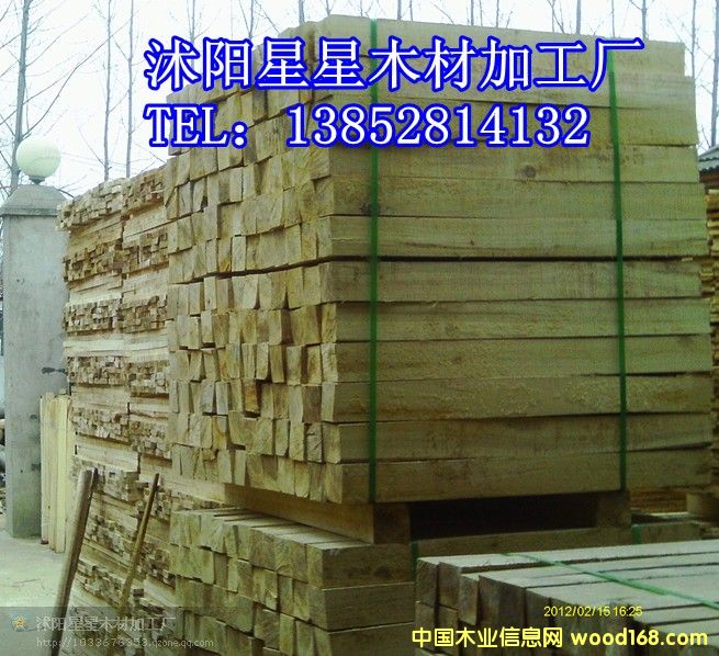 [��] ľ��ľ��ľ��ľ�lľƬľ��