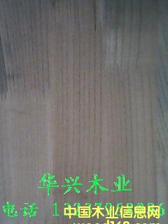 ɽ��ľ.����ľָ�Ӱ��Ԕ����B