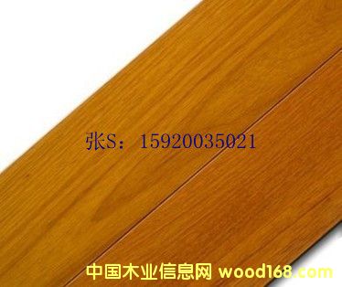 ��ľ�ذ� �հ��� �wƤ����