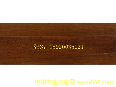 ���� �F��ľ ��ľ�ذ�