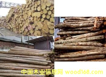 ɼľ���sľ��Ԕ��(x��)��B