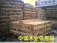 ɼľ���sľ��Ԕ��(x��)��B