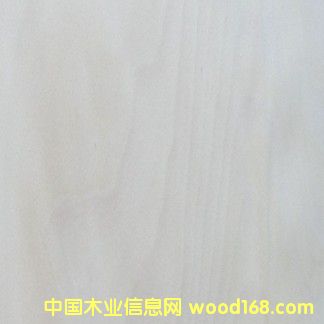 ��ľľƤ��Ԕ��(x��)��B