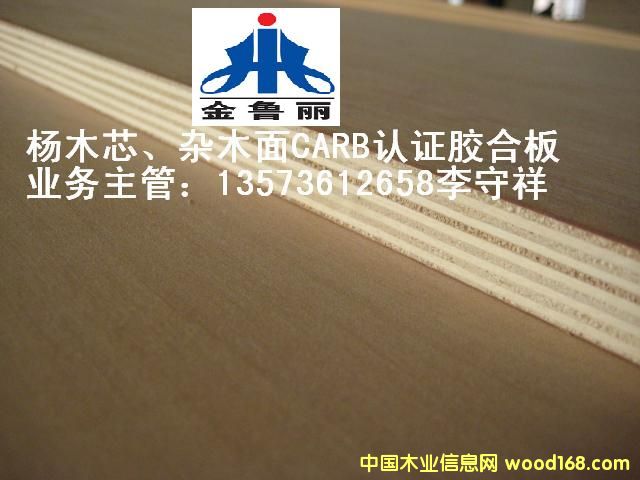 ��о���s��CARB�z�ϰ�