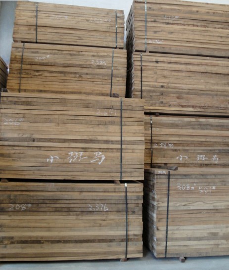 斑馬木的詳細(xì)介紹