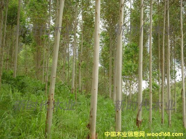 �c(di��n)���鿴����ֵ�5�Ŵ�DƬ